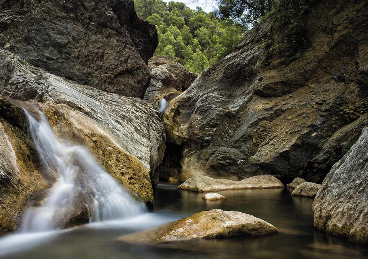 Отель Camping Bassegoda Park Albanya Экстерьер фото